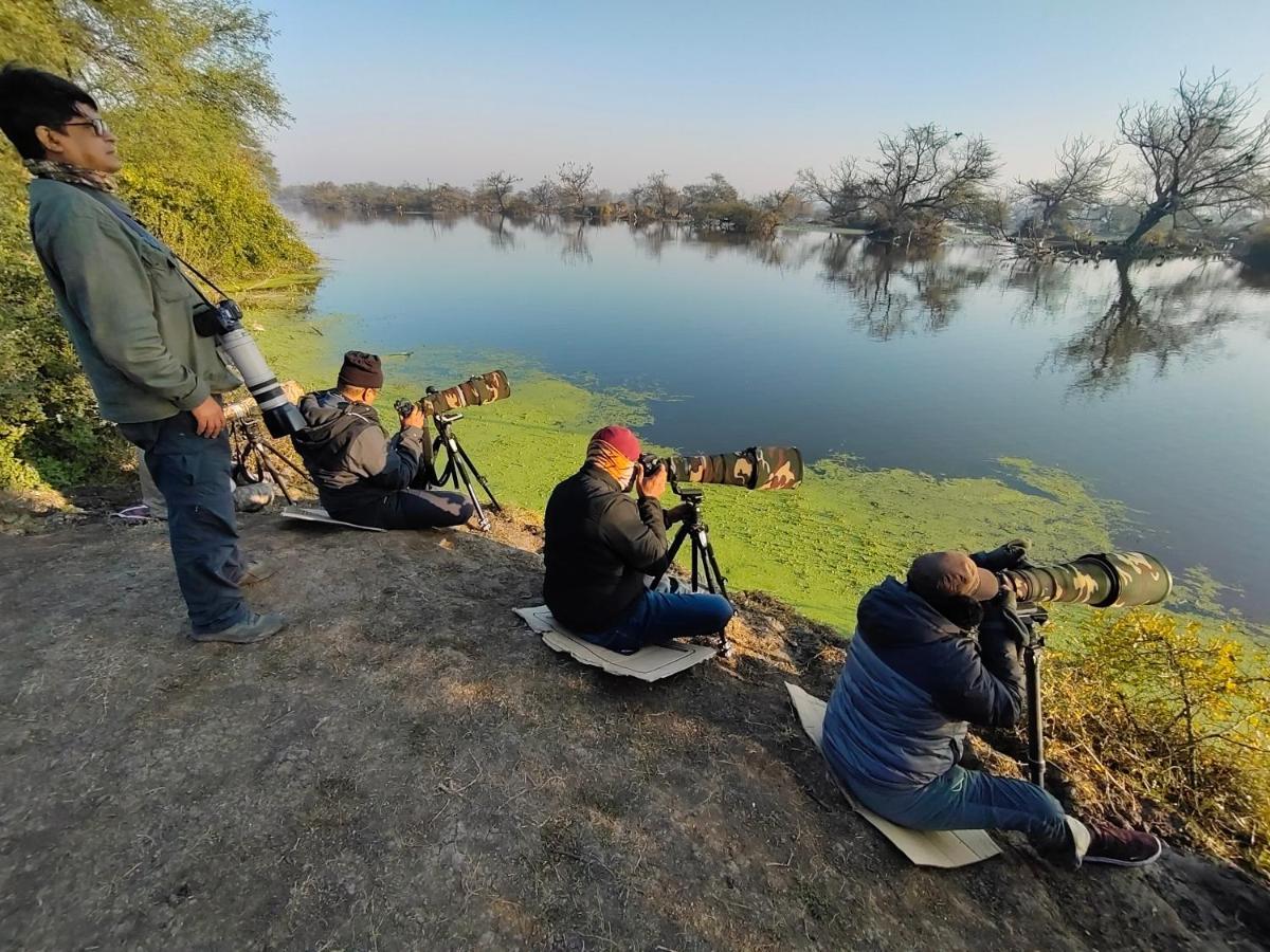 Iora Guest House Bharatpur Eksteriør billede